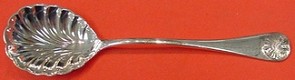 Sugar Spoon shell  5 5/8