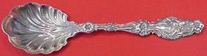 Sugar Spoon shell 5 7/8