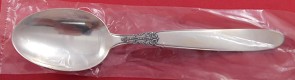 Place Soup Spoon factory sealed 6 1/2