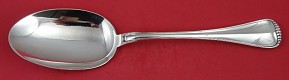 Casserole Spoon 11